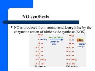 Role of nitric oxide in body | PPT