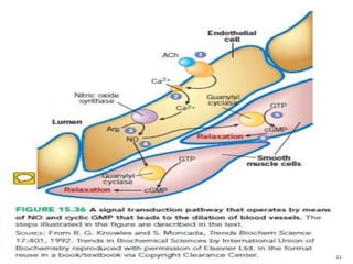 Role of nitric oxide in cell signaling | PPTX