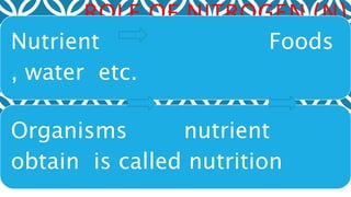 ROLE OF NITROGEN (N)
Nutrient Foods
, water etc.
Organisms nutrient
obtain is called nutrition
 