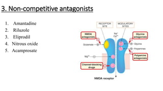 Role of nmda receptors and drugs affecting it | PPTX