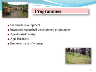 Role of non-governmental organizations (NGOs) in rural development | PPT
