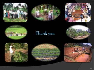 Role of non-governmental organizations (NGOs) in rural development | PPT