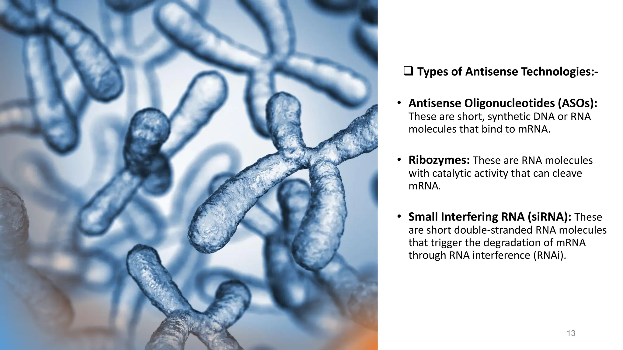❑ Types of Antisense Technologies:-
• Antisense Oligonucleotides (ASOs):
These are short, synthetic DNA or RNA
molecules that bind to mRNA.
• Ribozymes: These are RNA molecules
with catalytic activity that can cleave
mRNA.
• Small Interfering RNA (siRNA): These
are short double-stranded RNA molecules
that trigger the degradation of mRNA
through RNA interference (RNAi).
13
 