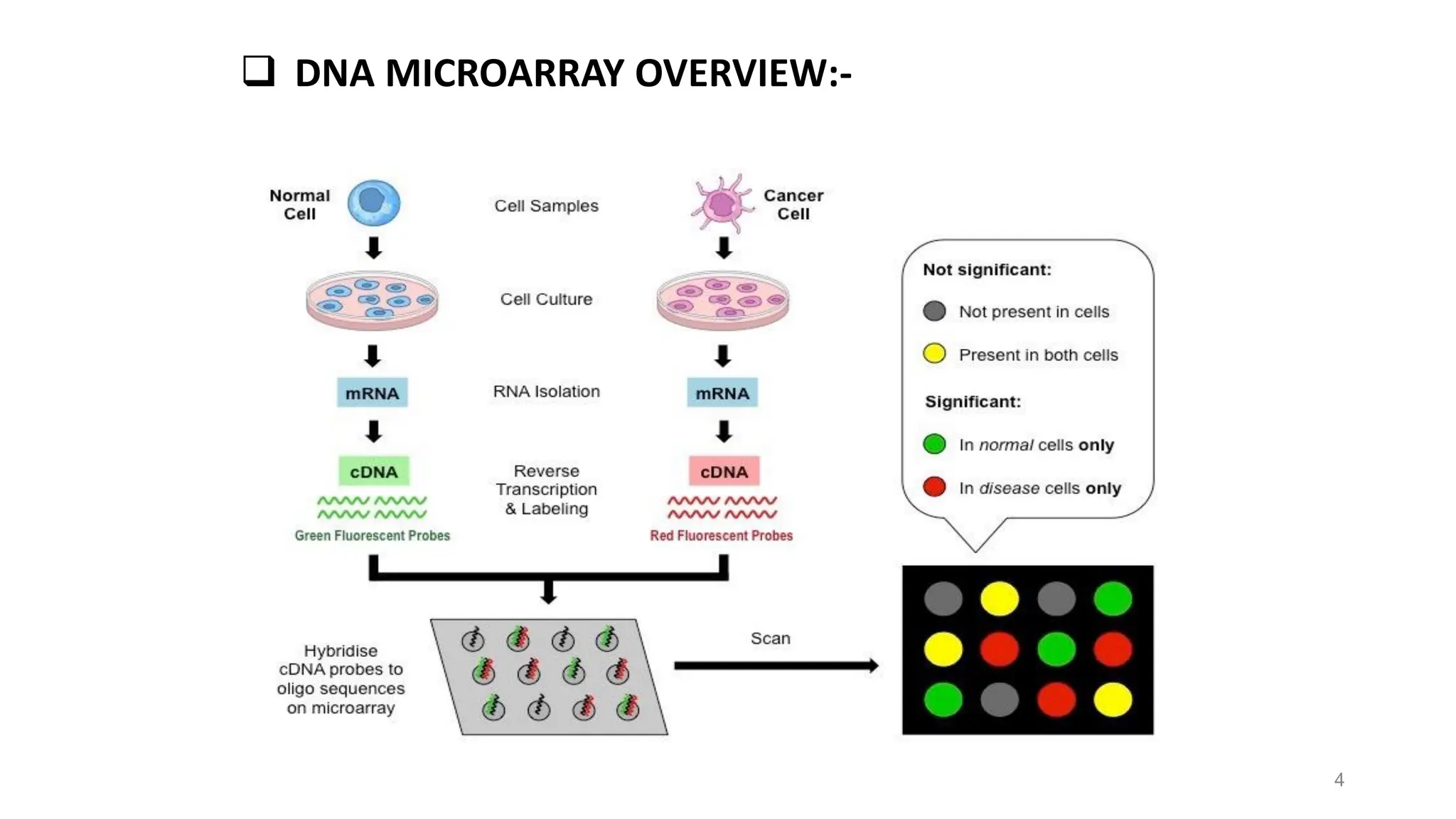❑ DNA MICROARRAY OVERVIEW:-
4
 
