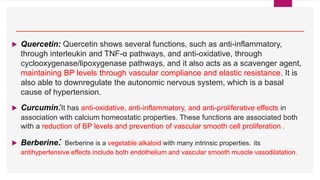 Role of Nutraceutical in Treatment of Diabetes.pptx