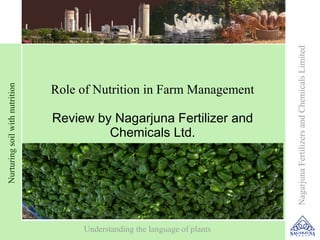 Growing importance of fertilizers




                                                                                Nagarjuna Fertilizers and Chemicals Limited
                                   Role of Nutrition in Farm Management
Nurturing soil with nutrition




                                   Review by Nagarjuna Fertilizer and
                                            Chemicals Ltd.




                                         Understanding the language of plants
                                                                                                                              1
 