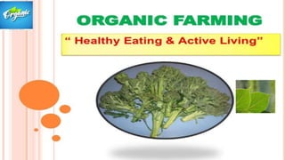Role of organic farming A Presentation By Mr Allah Dad Khan Former ...