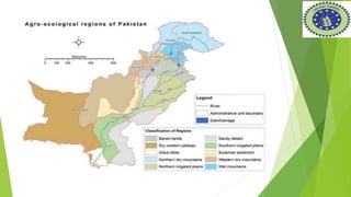 Role of organic farming A Presentation By Mr Allah Dad Khan Former ...