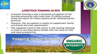 Role of organic farming A Presentation By Mr Allah Dad Khan Former ...