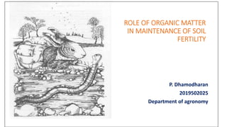 ROLE OF ORGANIC MATTER
IN MAINTENANCE OF SOIL
FERTILITY
P. Dhamodharan
2019502025
Department of agronomy
 
