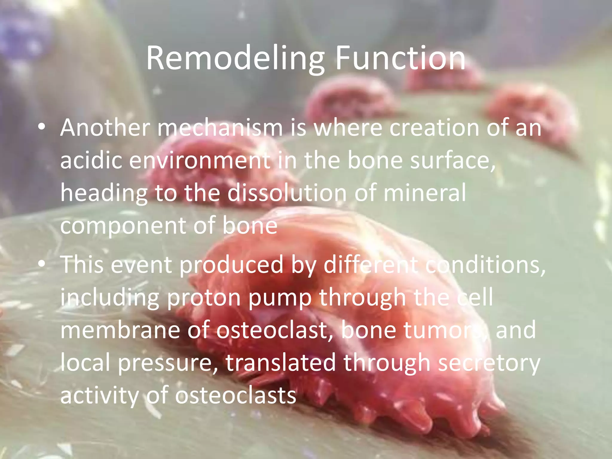 Role of osteoclasts in periodontal health and disease | PPTX