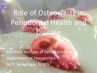 Role of Osteoclasts in
Periodontal Health and
Disease
Kamineni Institute of Dental Sciences
Department of Periodontics
By D. Varunsagar, IV BDS
 