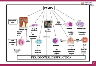 ROLE OF PATHOGEN ASSOCIATED MOLECULAR PATTERN IN PERIODONAL DISEASE.pptx
