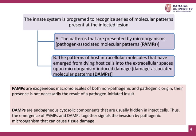 ROLE OF PATHOGEN ASSOCIATED MOLECULAR PATTERN IN PERIODONAL DISEASE.pptx
