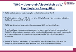 ROLE OF PATHOGEN ASSOCIATED MOLECULAR PATTERN IN PERIODONAL DISEASE.pptx