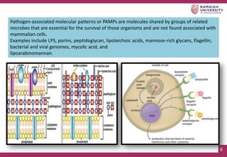 ROLE OF PATHOGEN ASSOCIATED MOLECULAR PATTERN IN PERIODONAL DISEASE.pptx