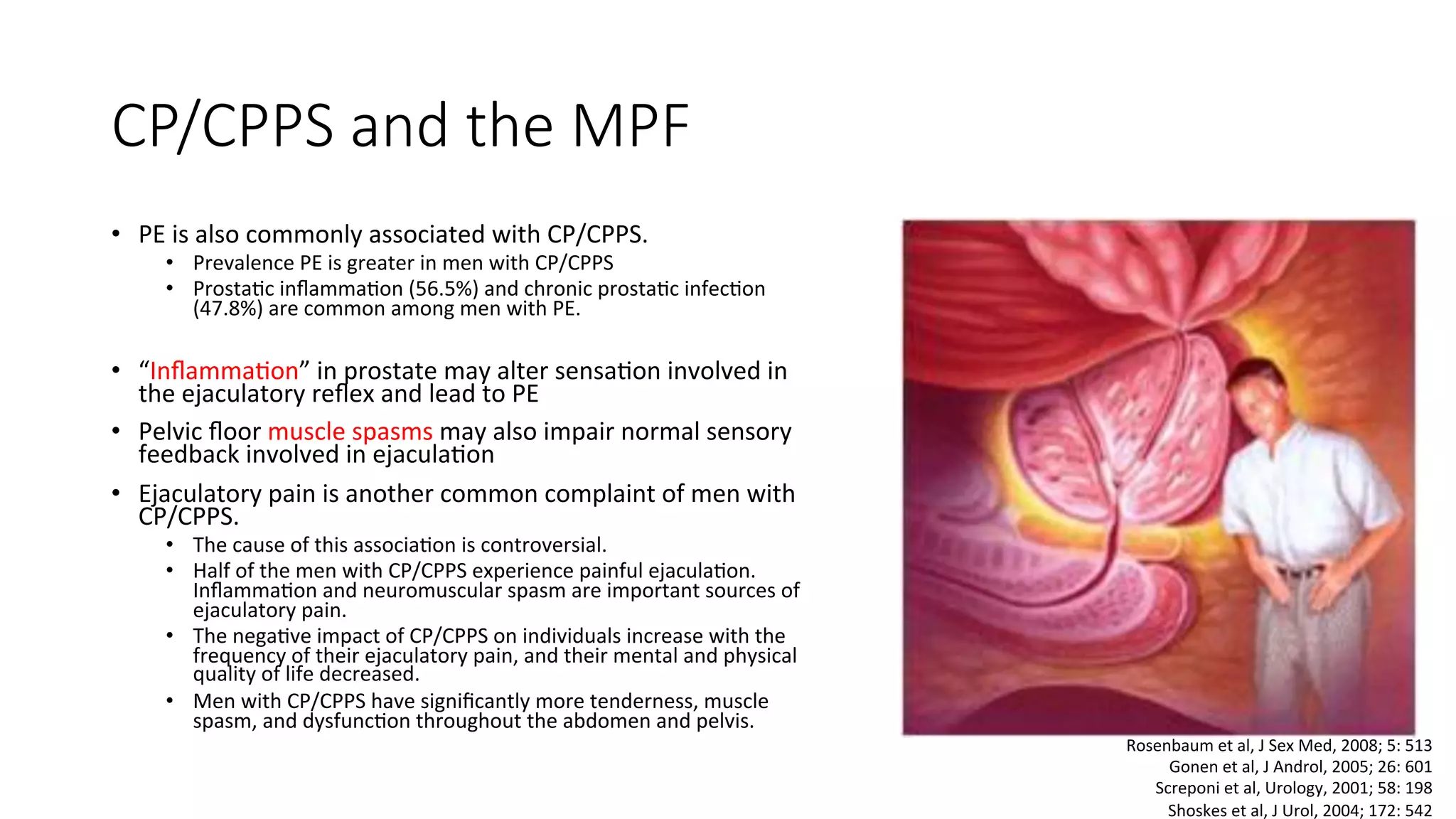 Role of pelvic floor in male sexual dysfunction | PDF
