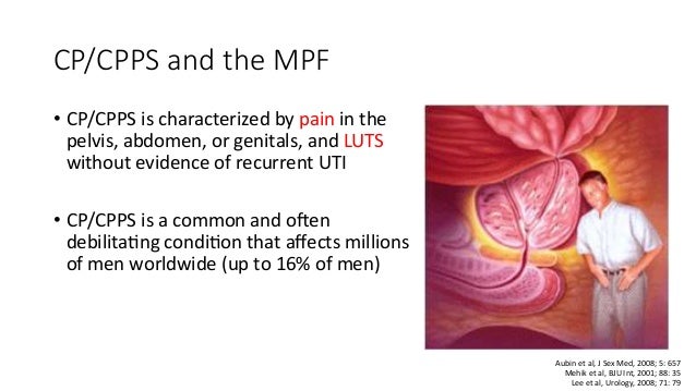 Role Of Pelvic Floor In Male Sexual Dysfunction