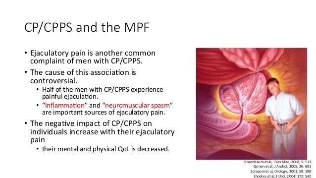 Role Of Pelvic Floor In Male Sexual Dysfunction