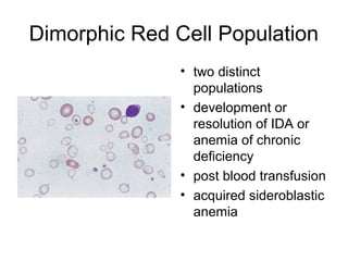 Role of peripheral blood | PPT