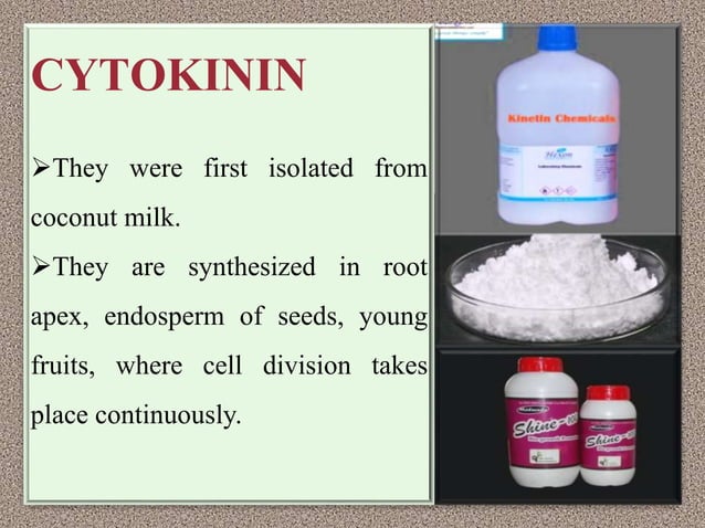 Role Of Plant Growth Regulators In Vegetable Crops PPT