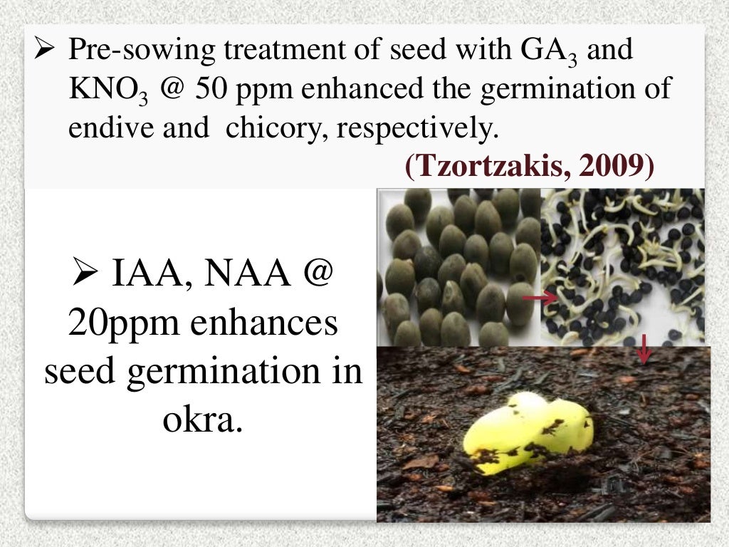 Role Of Plant Growth Regulators In Vegetable Crops