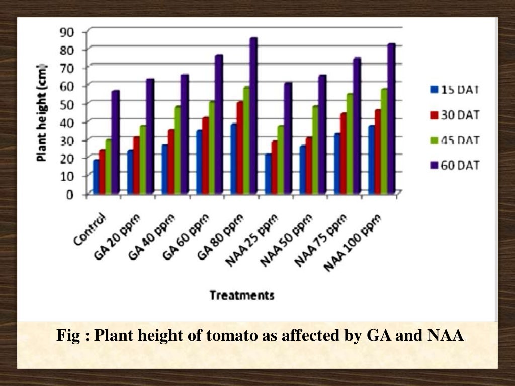 Role Of Plant Growth Regulators In Vegetable Crops