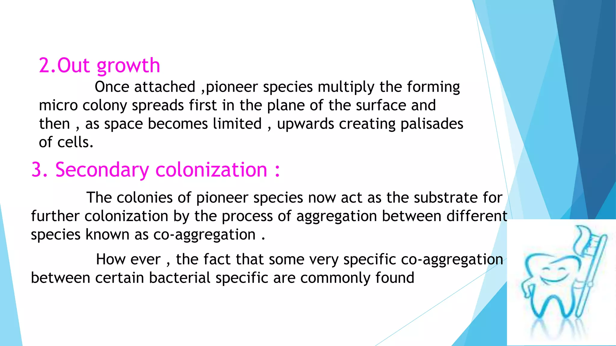 Role of plaque in etiology of dental caries PPT