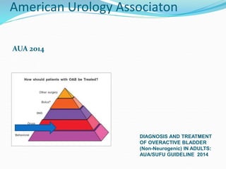 American Urology Associaton
AUA 2014
DIAGNOSIS AND TREATMENT
OF OVERACTIVE BLADDER
(Non-Neurogenic) IN ADULTS:
AUA/SUFU GUIDELINE 2014
 