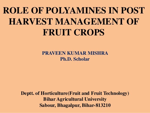 post harvest management of fruits Part 1: quality maintenance - postharvest handling and cooling of fresh fruits, vegetables, and flowers for small farms postharvest handling and cooling of fresh fruits, vegetables, and. post harvest management of fruits Part 1: quality maintenance - postharvest handling and cooling of fresh fruits, vegetables, and flowers for small farms postharvest handling and cooling of fresh fruits, vegetables, and.
