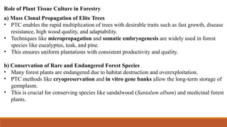 Comprehensive Role of Plant Tissue Culture in Forestry, Agriculture ...