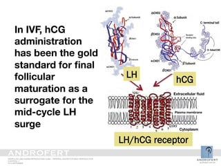 The Role of Recombinant hCG in IVF | PDF