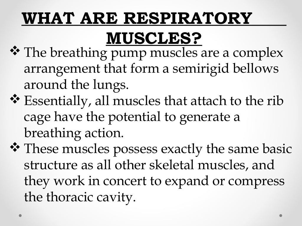 Role of respiratory muscles and various pressures in pulmonary ventil…