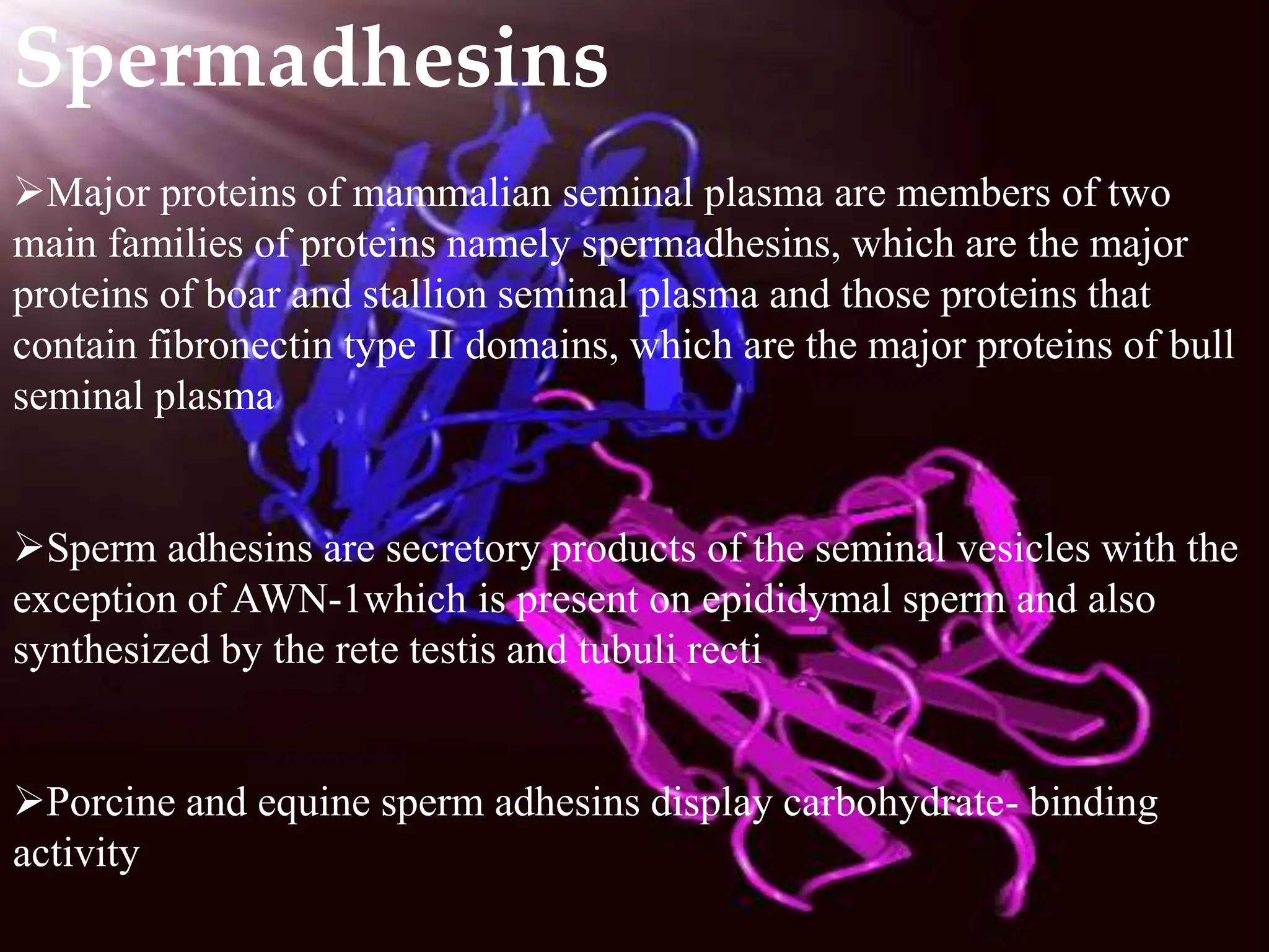 Role of Seminal plasma proteins in semen by J S Rajoriya.ppt
