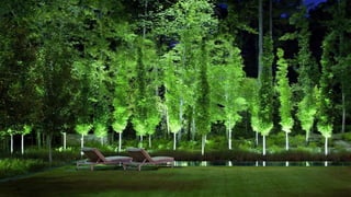 ROLE OF SHRUBS IN LANDSCAPING S.HARISHKUMAR 22164107 | PPTX
