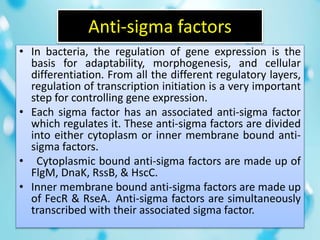 Anti-sigma factors
• In bacteria, the regulation of gene expression is the
basis for adaptability, morphogenesis, and cellular
differentiation. From all the different regulatory layers,
regulation of transcription initiation is a very important
step for controlling gene expression.
• Each sigma factor has an associated anti-sigma factor
which regulates it. These anti-sigma factors are divided
into either cytoplasm or inner membrane bound anti-
sigma factors.
• Cytoplasmic bound anti-sigma factors are made up of
FlgM, DnaK, RssB, & HscC.
• Inner membrane bound anti-sigma factors are made up
of FecR & RseA. Anti-sigma factors are simultaneously
transcribed with their associated sigma factor.
 