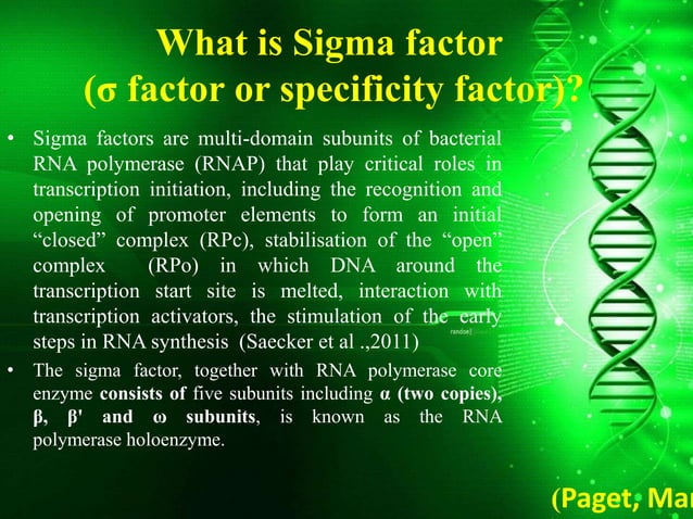 role of sigma factor.pptx
