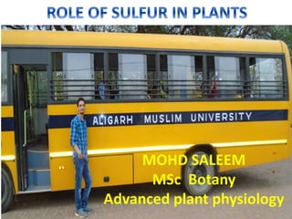 NAME: MOHD SALEEM
ROLL NO: 14BTM28
ENROL NO: GI3742
CLASS: MSc. FINAL
MOHD SALEEM
MSc Botany
Advanced plant physiology
 
