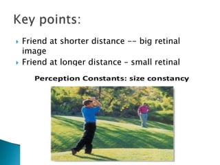  Friend at shorter distance -- big retinal
image
 Friend at longer distance – small retinal
image
 