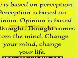 Role of size constancy in perception