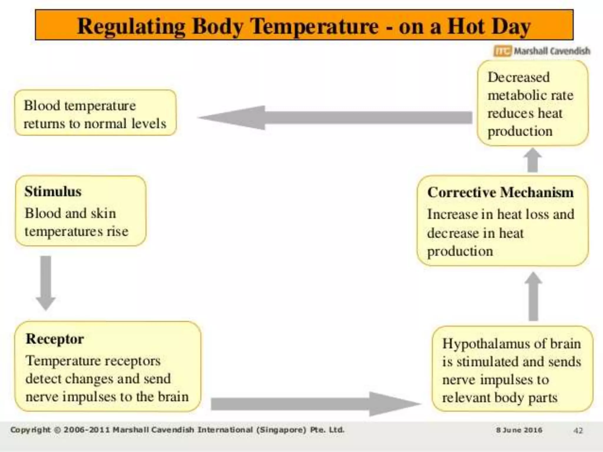 Role of skin in regulation of body temperature | PPTX