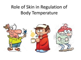 Role of Skin in Regulation of
Body Temperature
 