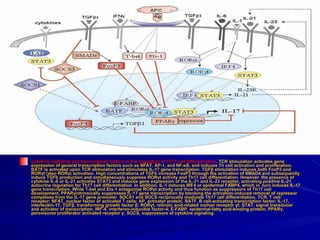 Role of stat3 protein & thelper 17 cell in psoriasis development by ...