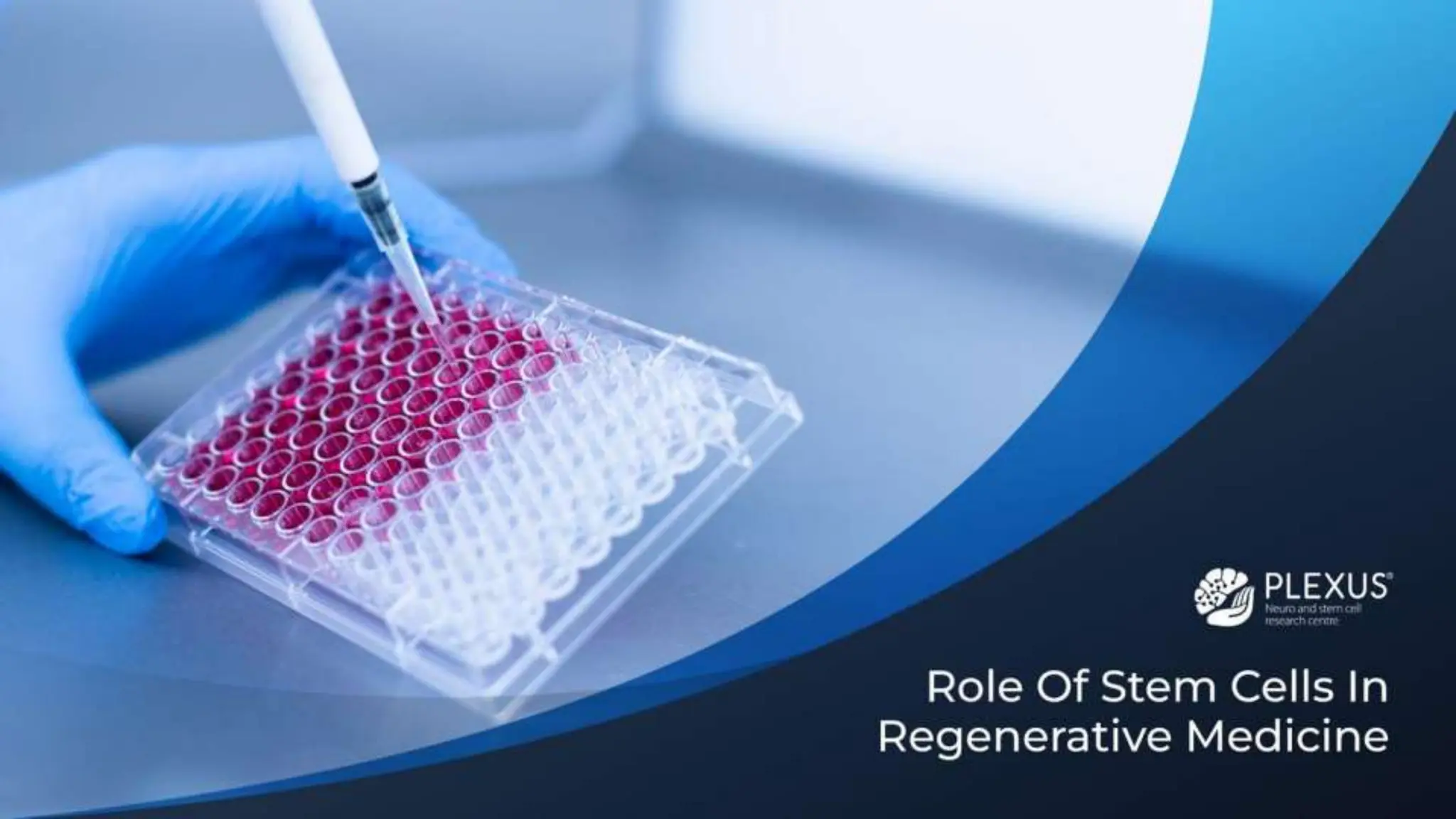 Role of Stem Cells in Regenerative Medicine.pptx