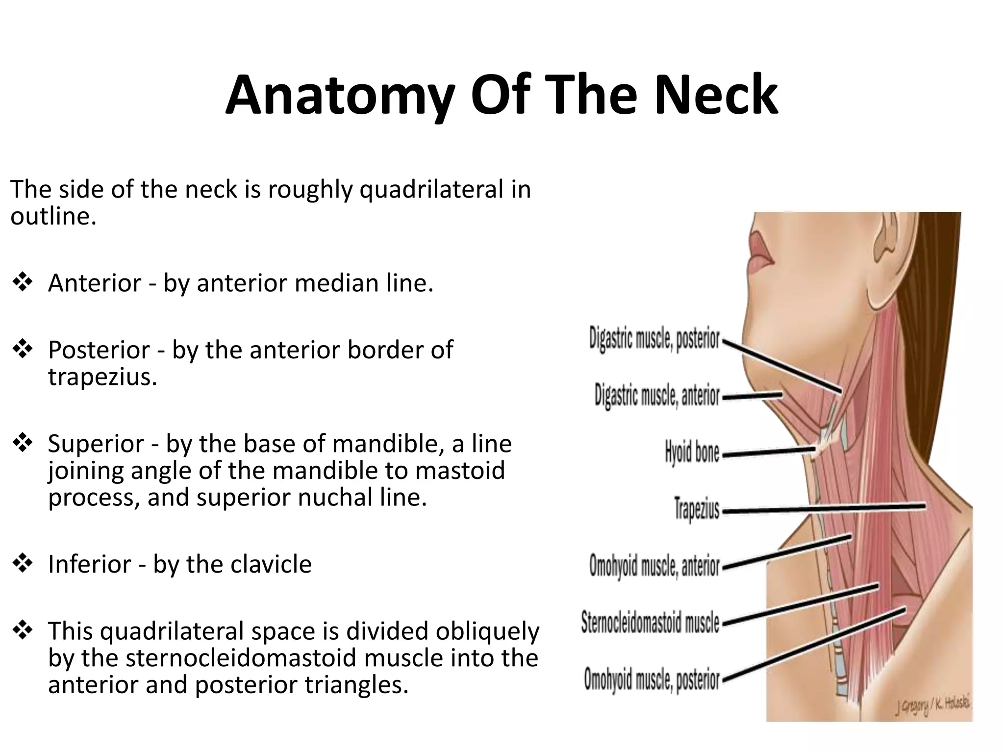 Role Of Surgery In Management of Neck Nodes 2 - Copy.pptx