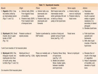 Role Of Surgery In Management of Neck Nodes 2 - Copy.pptx