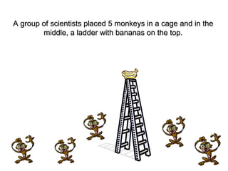 A group of scientists placed 5 monkeys in a cage and in theA group of scientists placed 5 monkeys in a cage and in the
middle, a ladder with bananas on the top.middle, a ladder with bananas on the top.
 
