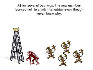 After several beatings, the new member
learned not to climb the ladder even though
never knew why.
 