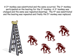 A 2nd
monkey was substituted and the same occurred. The 1st
monkey
participated on the beating for the 2nd
monkey. A 3rd
monkey was
changed and the same was repeated (beating). The 4th
was substituted
and the beating was repeated and finally the 5th
monkey was replaced.
 