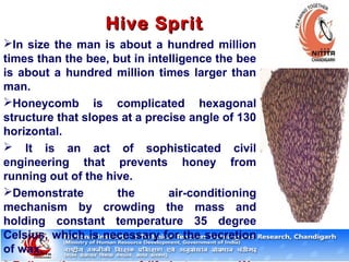 Hive SpritHive Sprit
In size the man is about a hundred million
times than the bee, but in intelligence the bee
is about a hundred million times larger than
man.
Honeycomb is complicated hexagonal
structure that slopes at a precise angle of 130
horizontal.
 It is an act of sophisticated civil
engineering that prevents honey from
running out of the hive.
Demonstrate the air-conditioning
mechanism by crowding the mass and
holding constant temperature 35 degree
Celsius, which is necessary for the secretion
of wax.
 